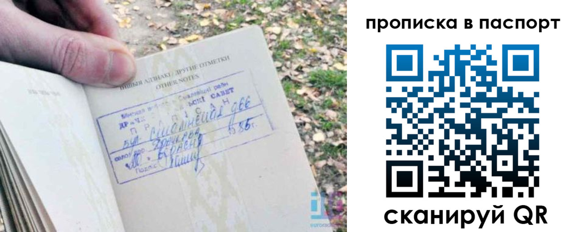 купить прописку в Ардоне